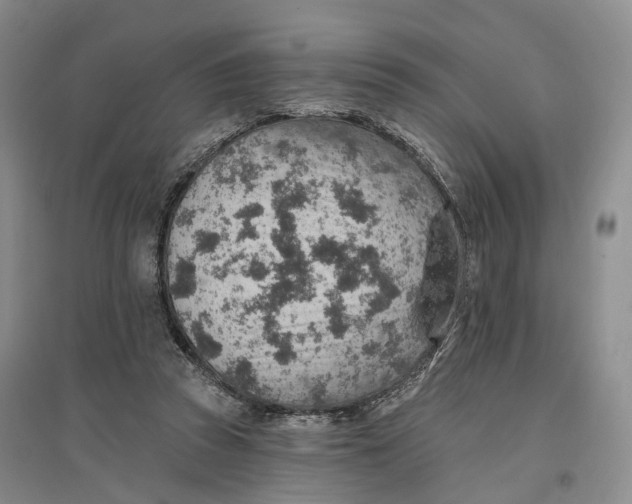 X0000096690353200802261546