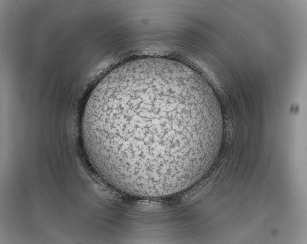 X0000096690354200802261546