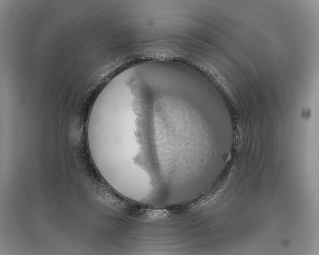 X0000096690355200802261546