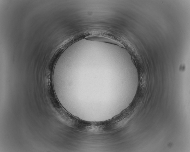 X0000096690356200802261546