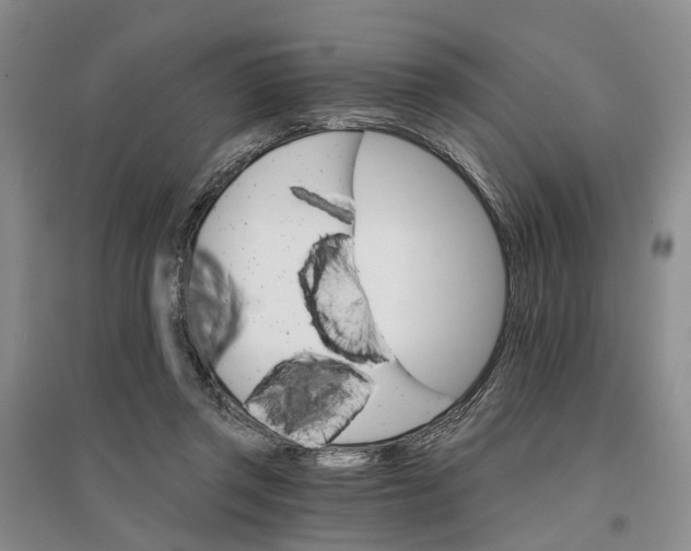 X0000096690357200802261546