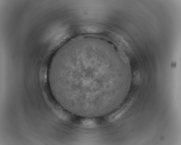 X0000096690358200802261546