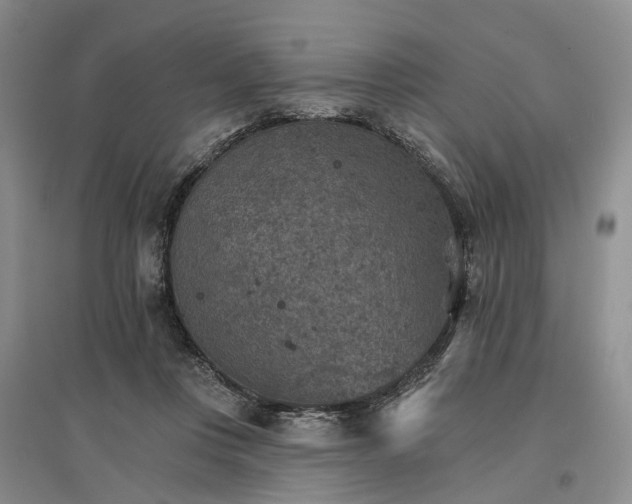 X0000096690359200802261546