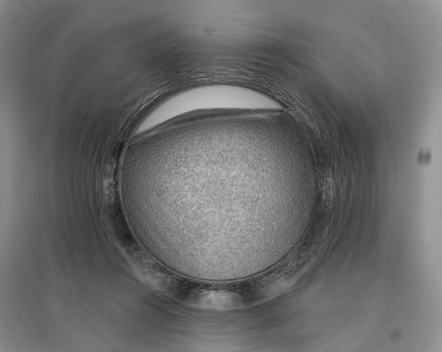 X0000096690360200802261546