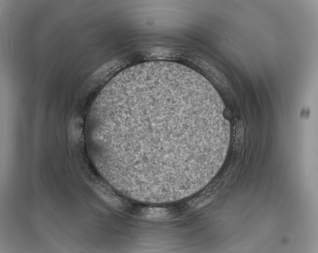 X0000096690361200802261546