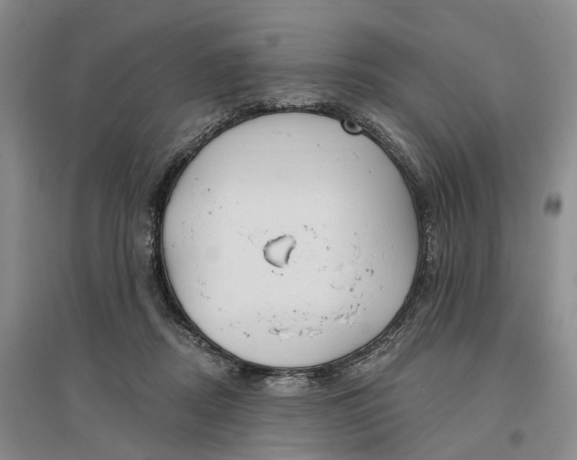 X0000096690362200802261546