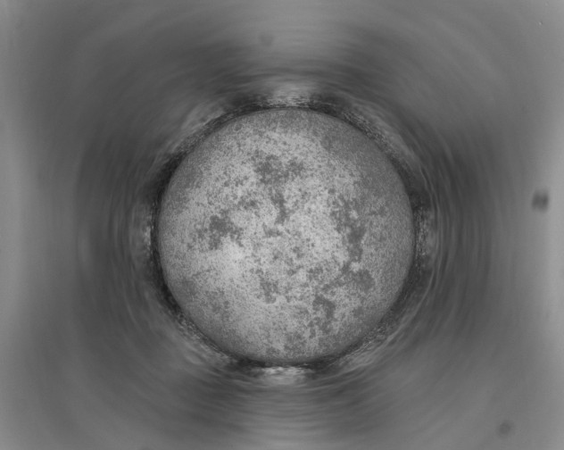 X0000096690363200802261546