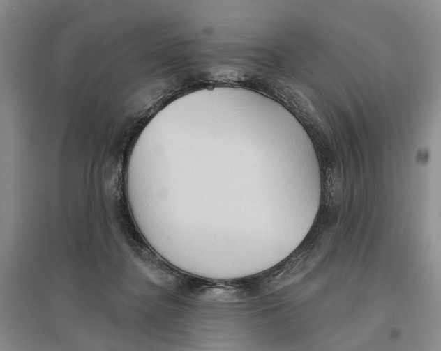 X0000096690364200802261546