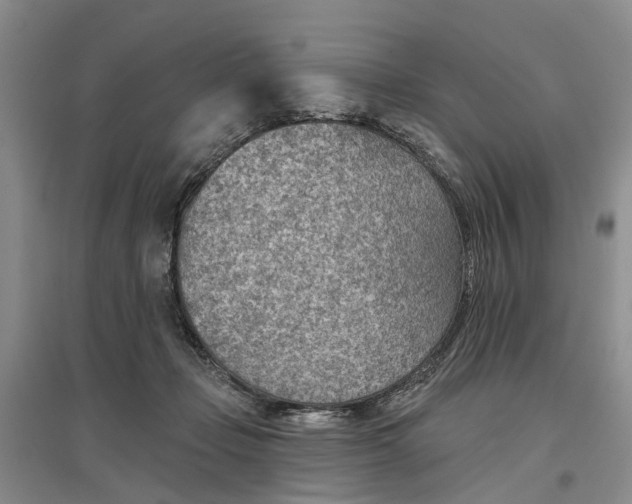 X0000096690365200802261546