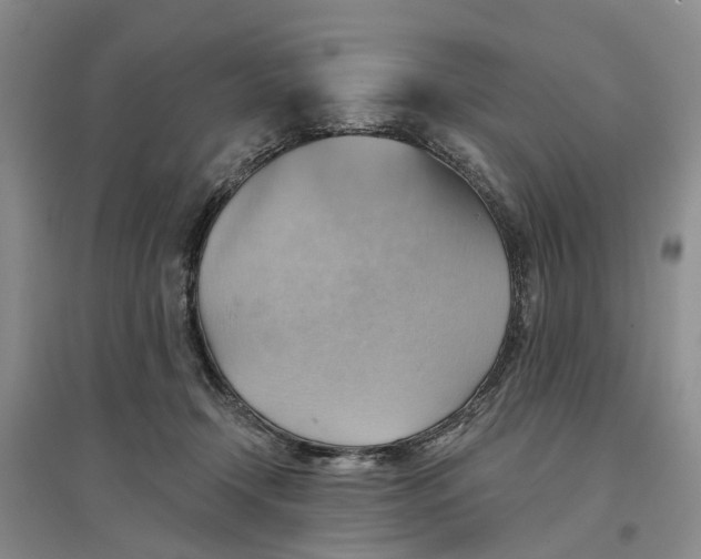 X0000096690366200802261546