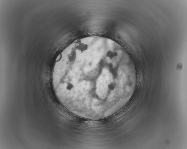 X0000096690367200802261546