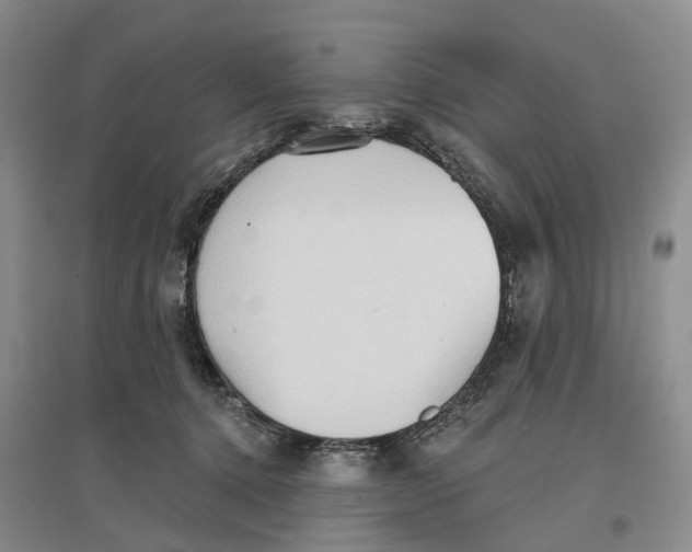 X0000096690368200802261546