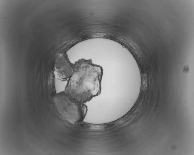 X0000096690369200802261546