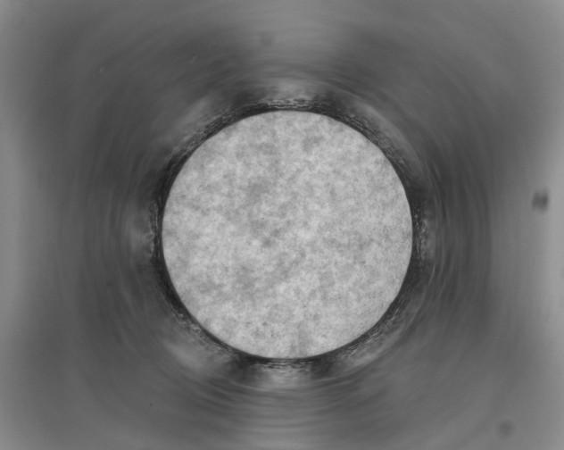 X0000096690370200802261546