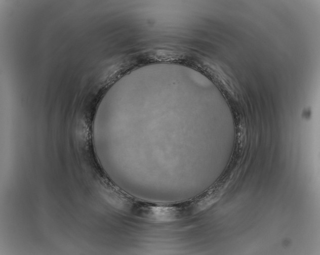 X0000096690371200802261546