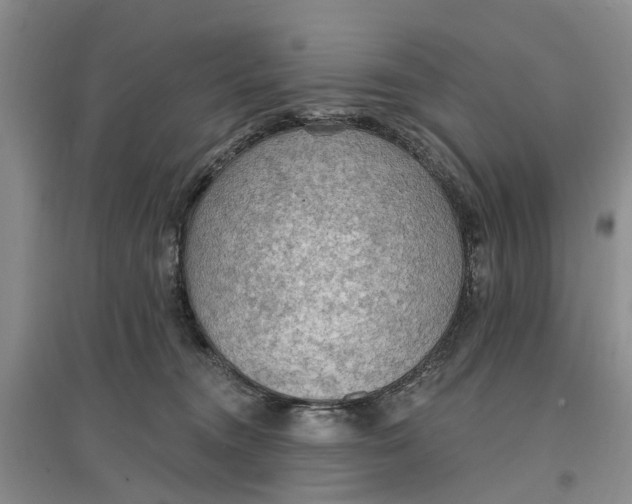 X0000096690372200802261546