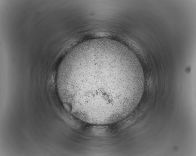 X0000096690373200802261546