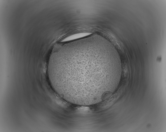 X0000096690374200802261546