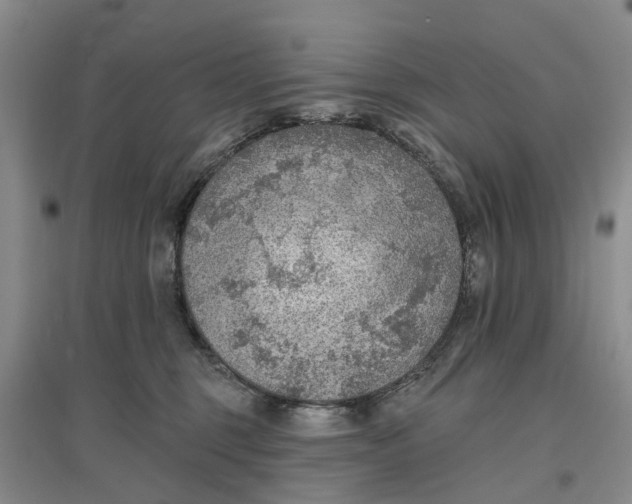 X0000096690375200802261546