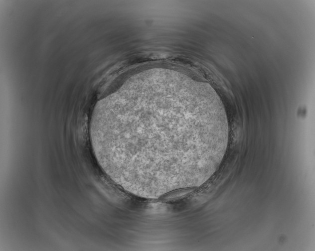 X0000096690376200802261546