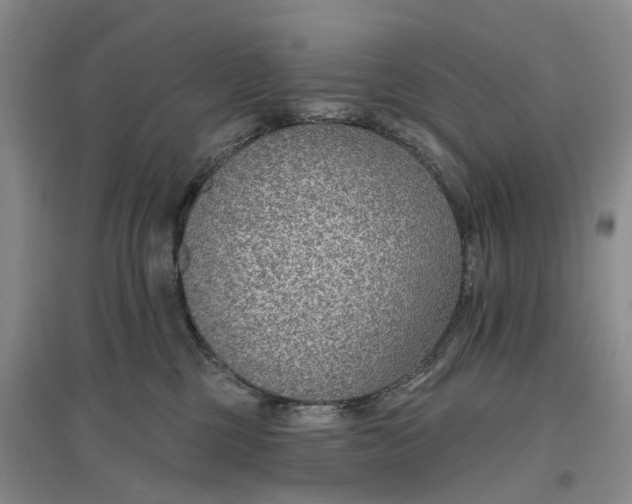 X0000096690377200802261546