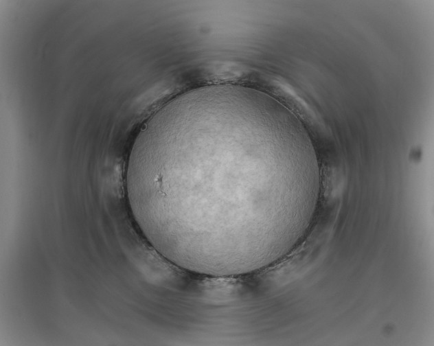 X0000096690378200802261546