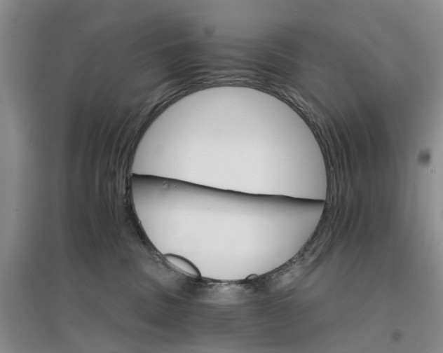 X0000096690379200802261546