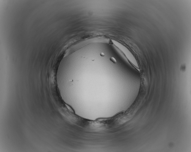 X0000096690380200802261546