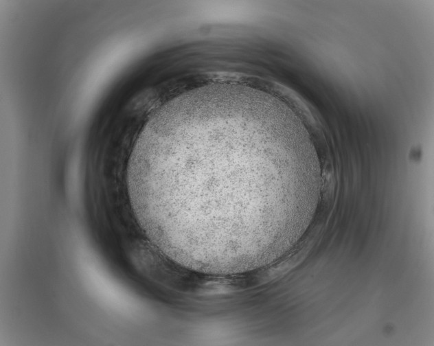 X0000096690381200802261546