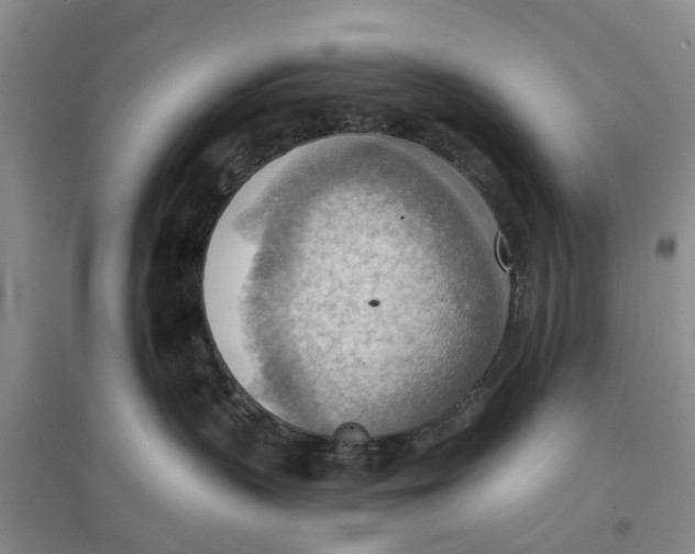 X0000096690383200802261546