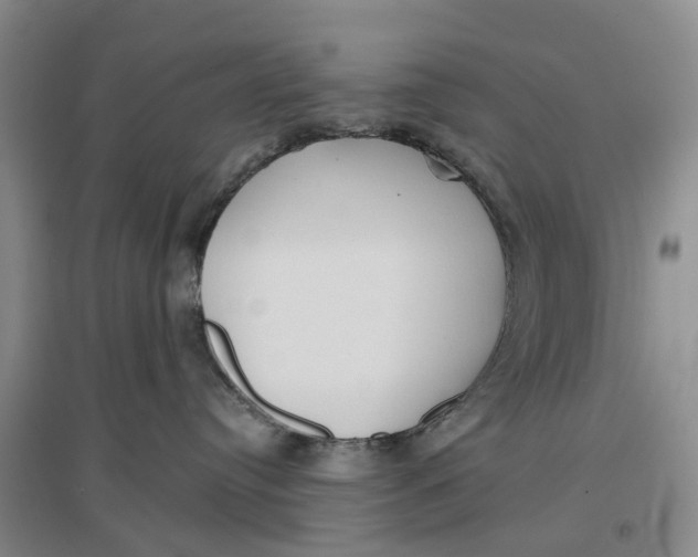 X0000096690384200802261546