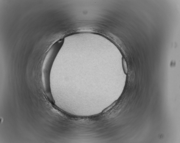 X0000096690385200802261546