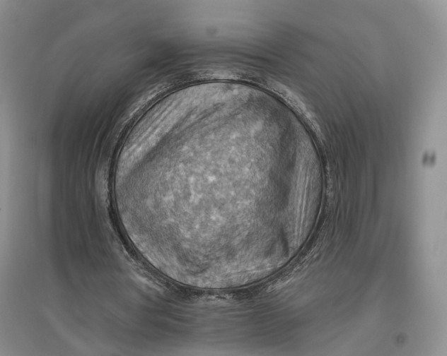 X0000096690386200802261546