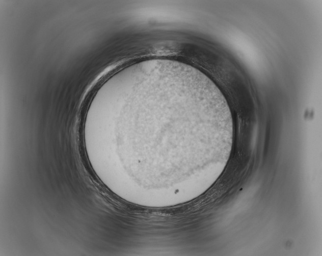 X0000096690387200802261546