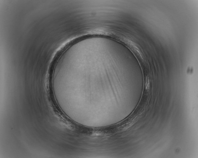 X0000096690388200802261546