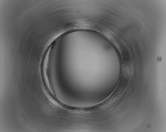 X0000096690389200802261546