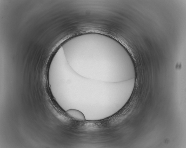 X0000096690390200802261546