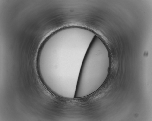 X0000096690391200802261546