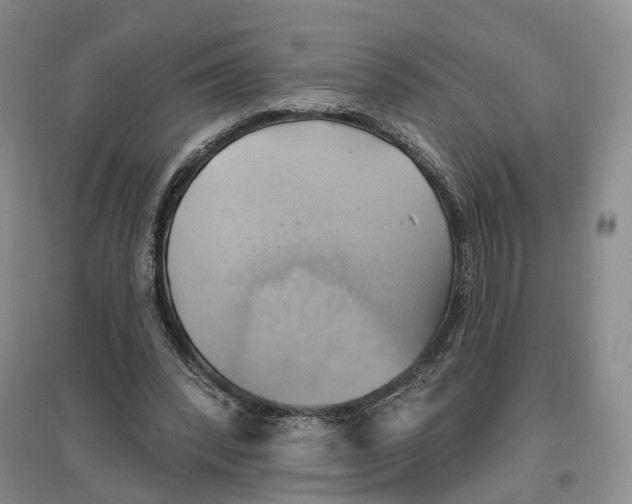 X0000096690392200802261546