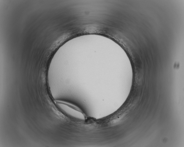 X0000096690393200802261546