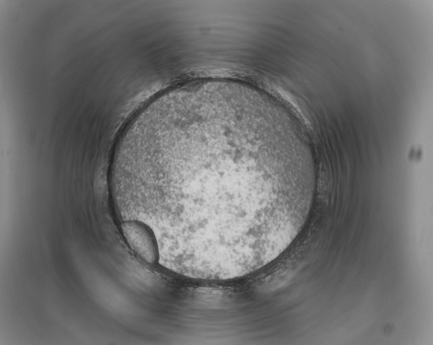 X0000096690394200802261546