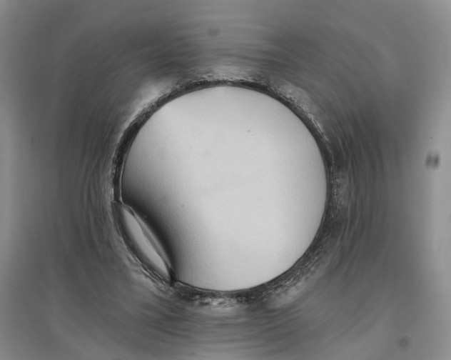 X0000096690395200802261546