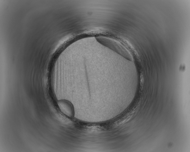 X0000096690396200802261546