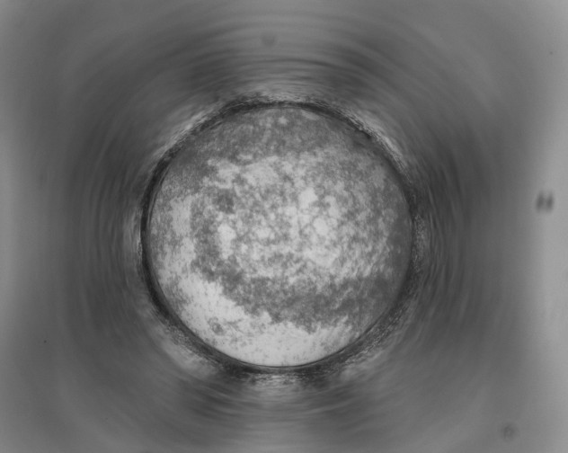 X0000096690398200802261545