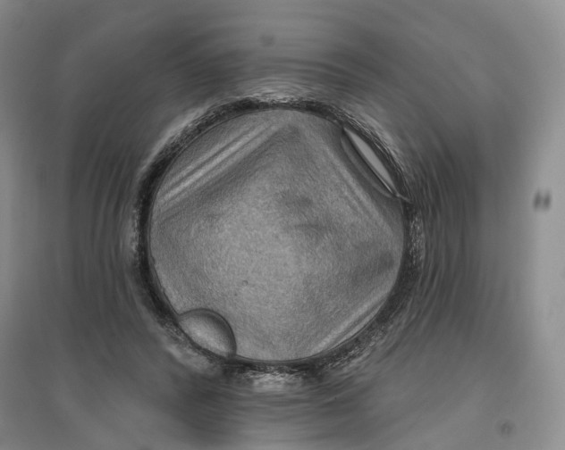 X0000096690400200802261545