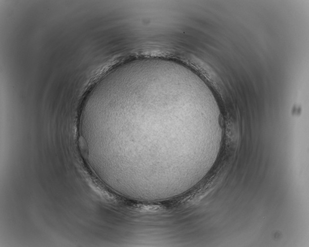 X0000096690401200802261545