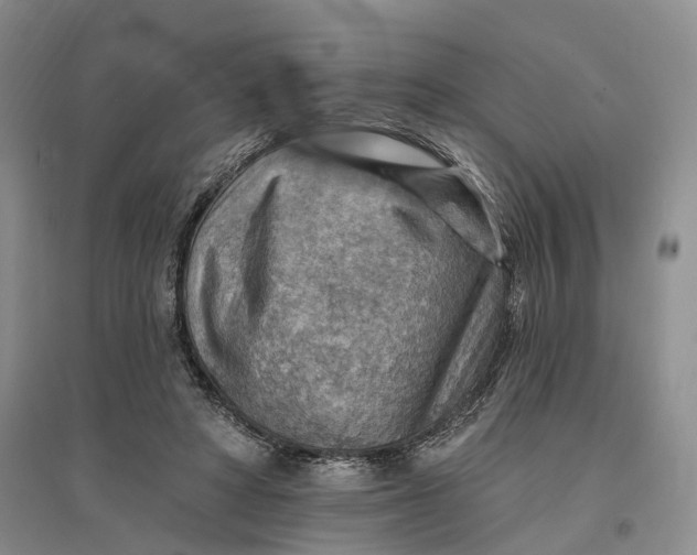 X0000096690402200802261545