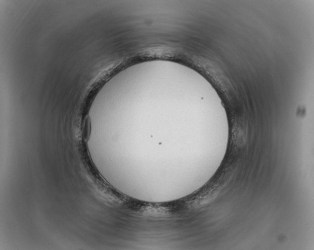 X0000096690403200802261545