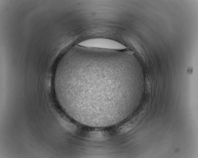 X0000096690404200802261545