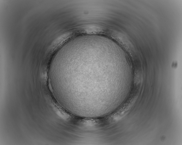 X0000096690405200802261545